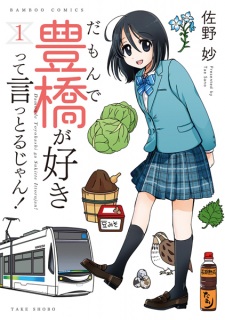 Damonde Toyohashi ga Suki tte Ittoru jan!