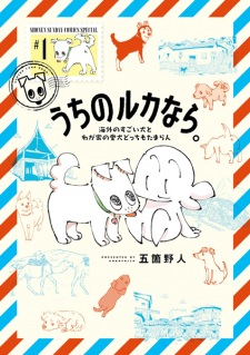Uchi no Ruka nara. Kaigai no Sugoi Inu to Wagaya no Aiken Docchi mo Tamaran