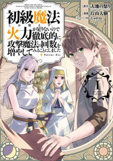 Shokyuu Mahou shika Tsukaezu, Karyoku ga Tarinai node Tetteiteki ni Kougeki Mahou no Kaisuu wo Fuyashitemiru Koto ni Shimashita