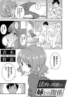 Houteki ni Mondai Nai Ane to no Kankei