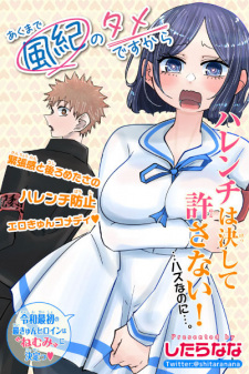 Akumade Fuuki no Tame desu kara