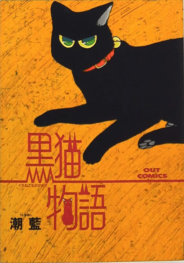 Black Cat Story