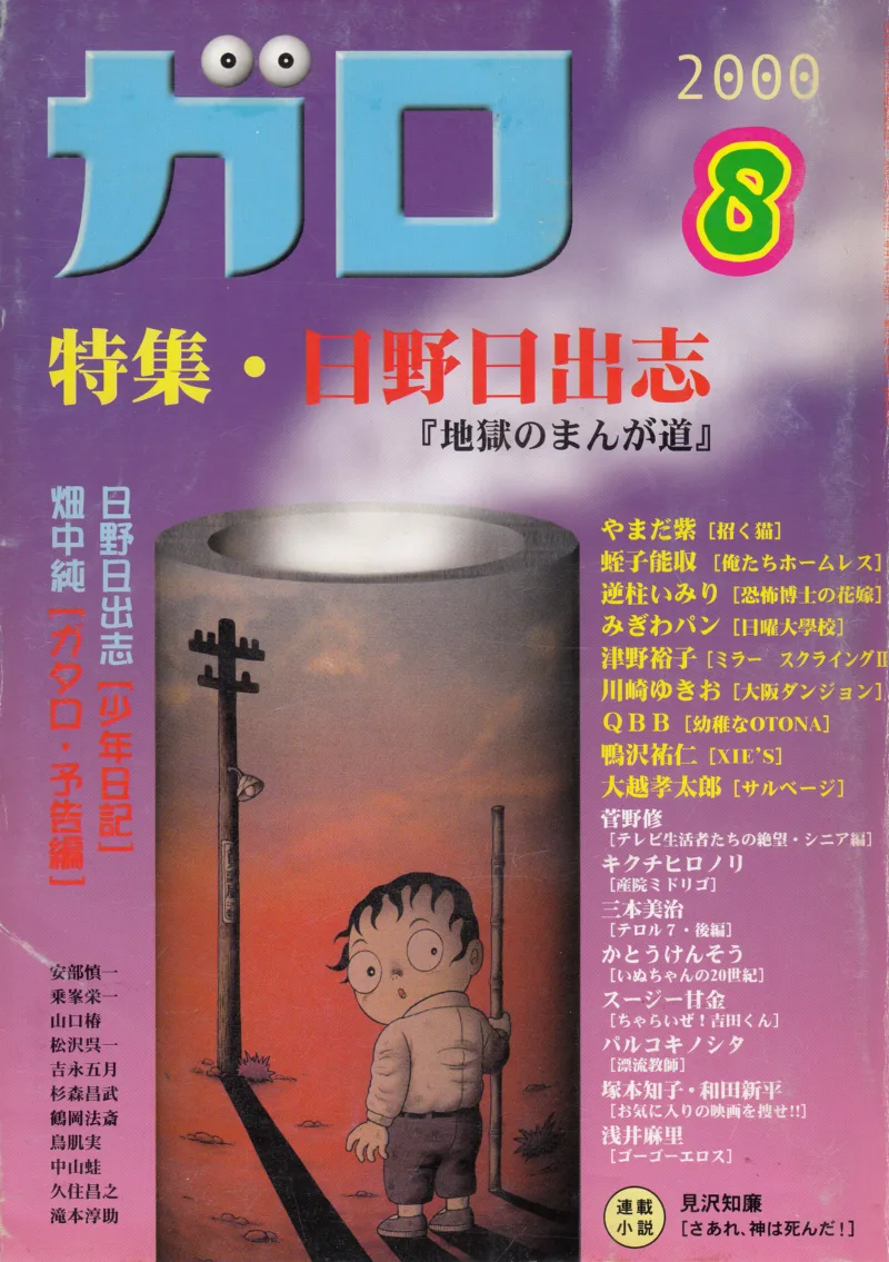 A Boy's Diary