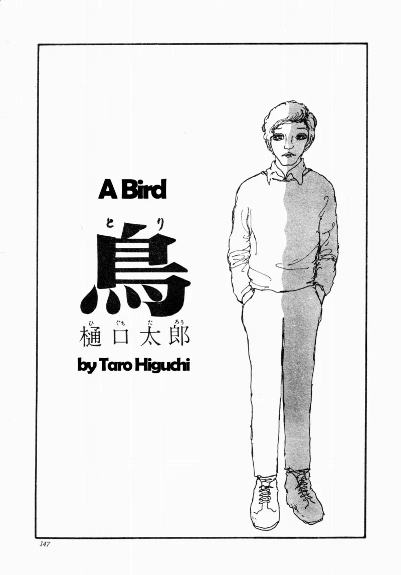 A Bird