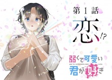 Yowakute Kawaii Kimi ga Suki