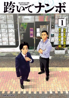Mataide Nanbo