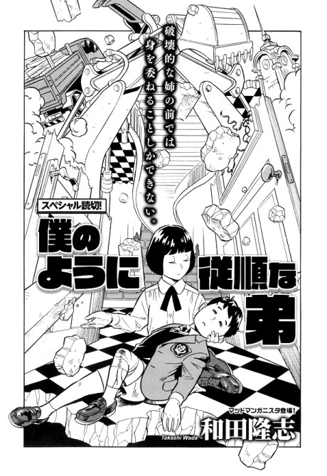 Boku no You ni Juujun na Otouto