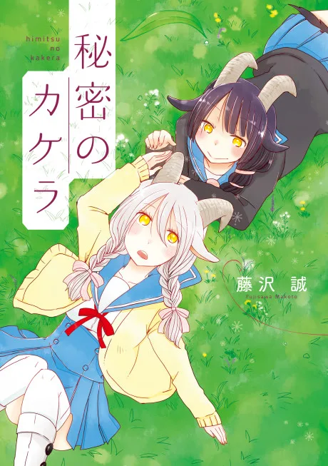 Himitsu no Kakera