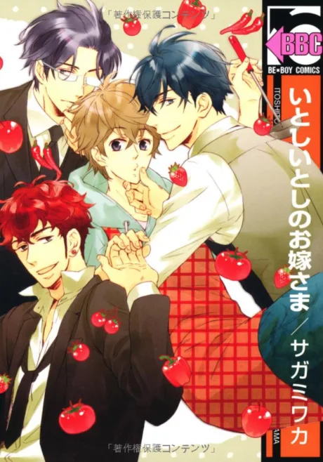 Itoshii Toshi no Oyome-sama