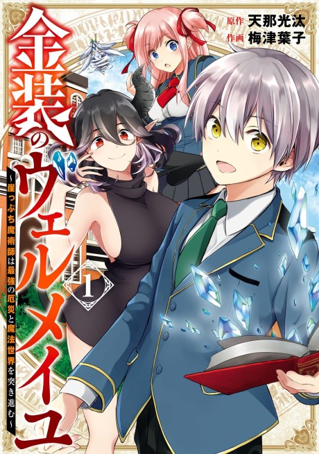 Kinsou no Vermeil: Gakeppuchi Majutsushi wa Saikyou no Yakusai to Mahou Sekai wo Tsukisusumu (Manga)