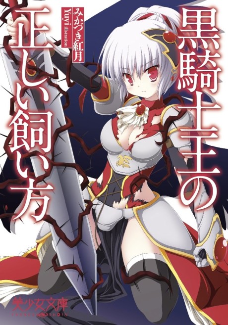 Kurokishi Ou no Tadashi Kaikata