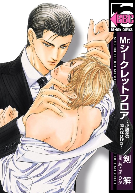 Mr. Secret Floor