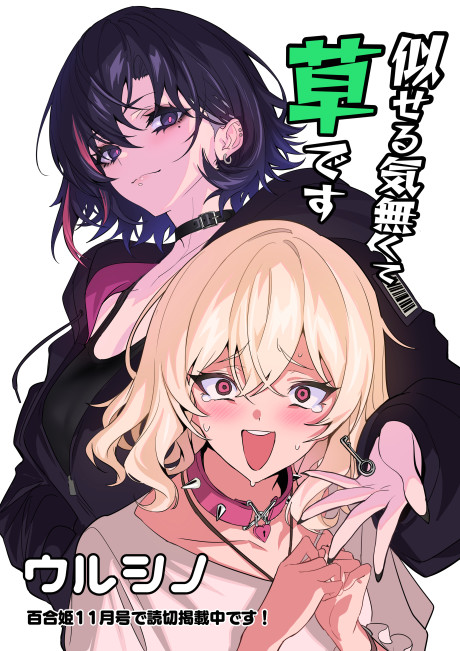 Niseru Ki Nakute Kusadesu