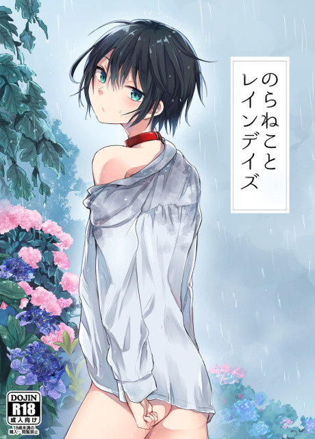 Nora Neko to Rain Days