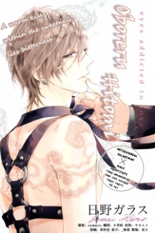 Pôster de Oboreru Hitomi
