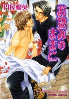Pôster de Onozomi no Mama ni