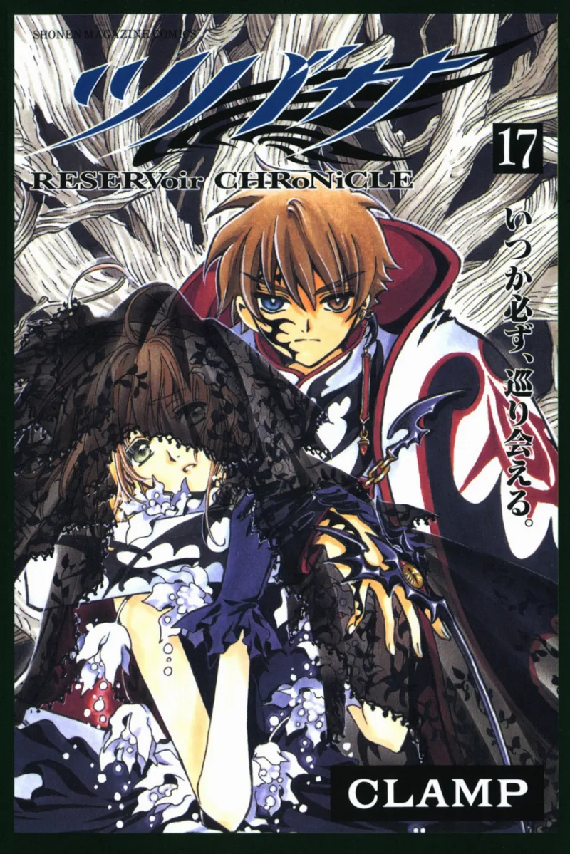 Volume 17