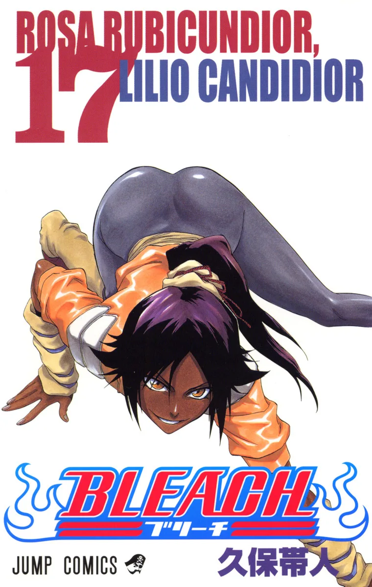 Volume 17