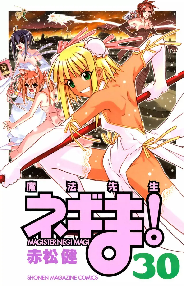 Volume 30