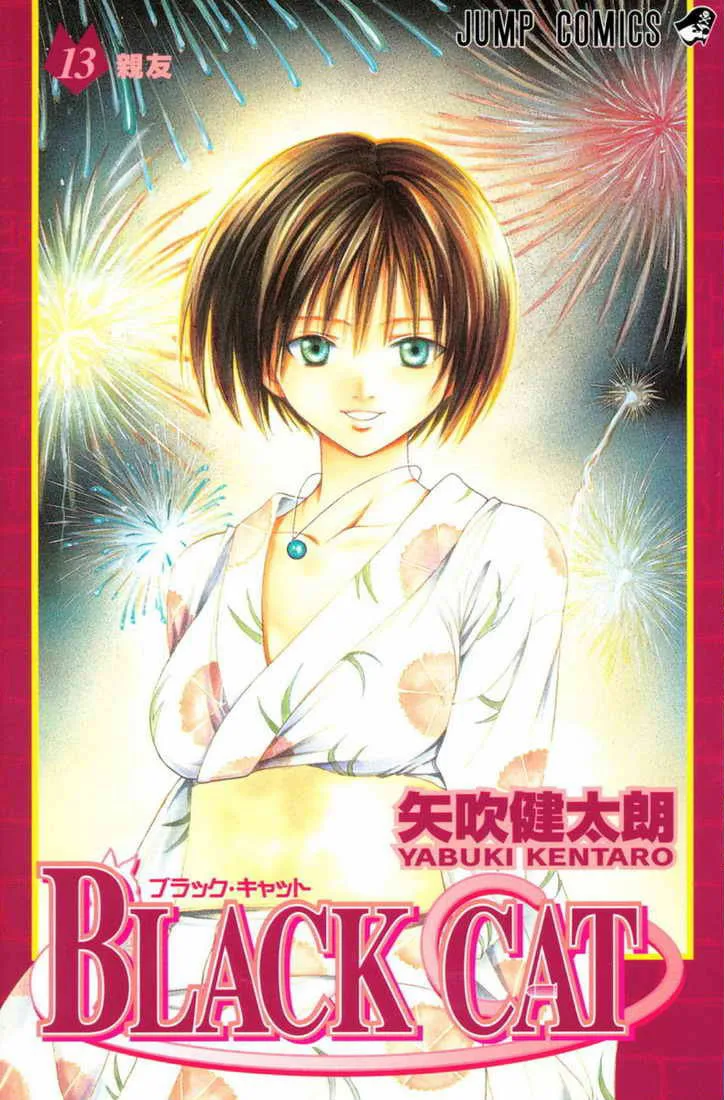 Volume 13