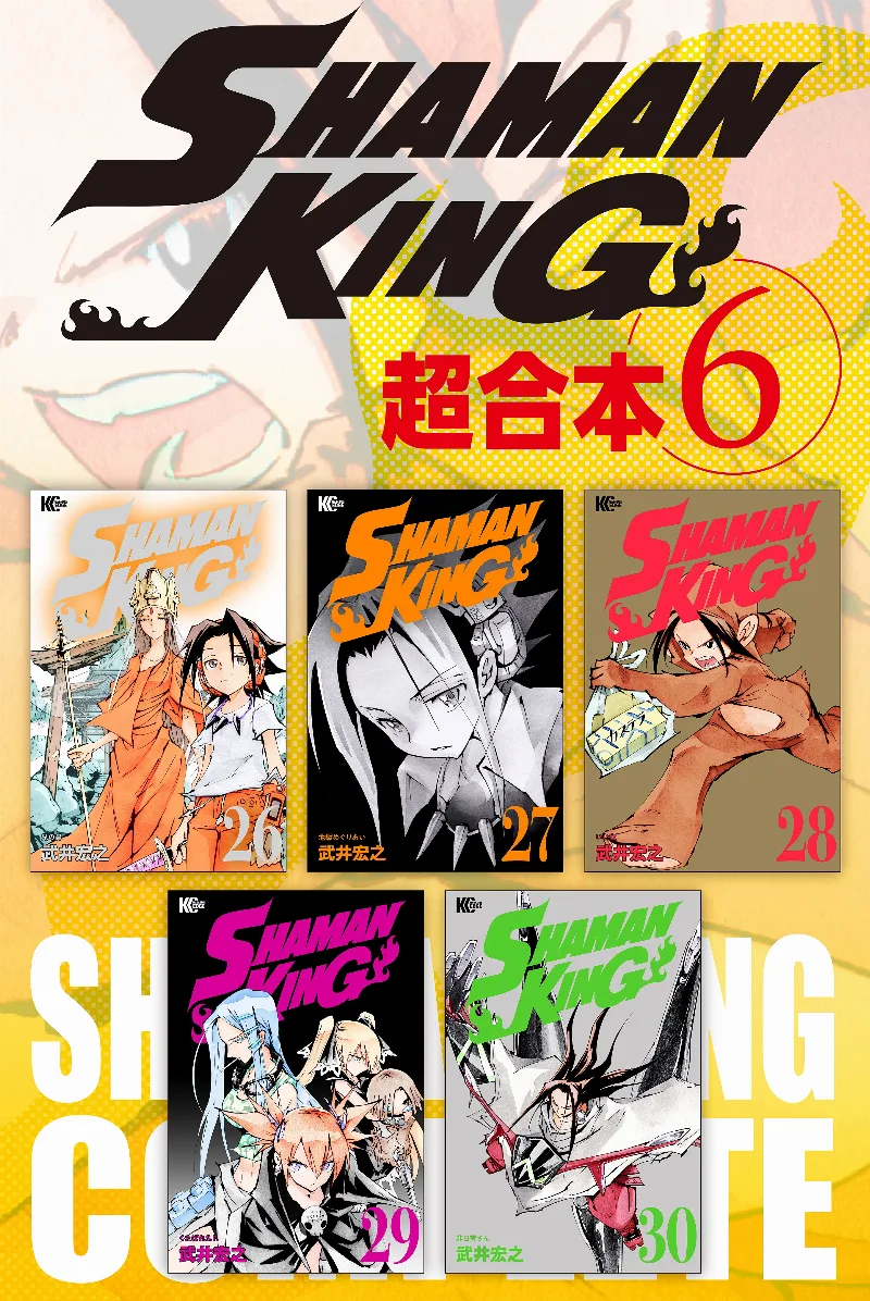 Volume 06.6