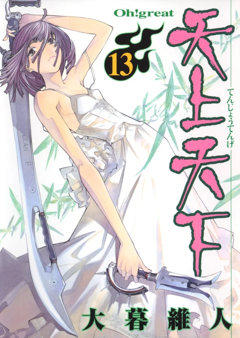 Volume 13