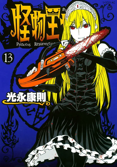Volume 13
