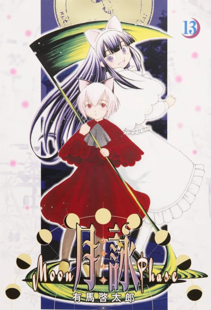 Volume 13