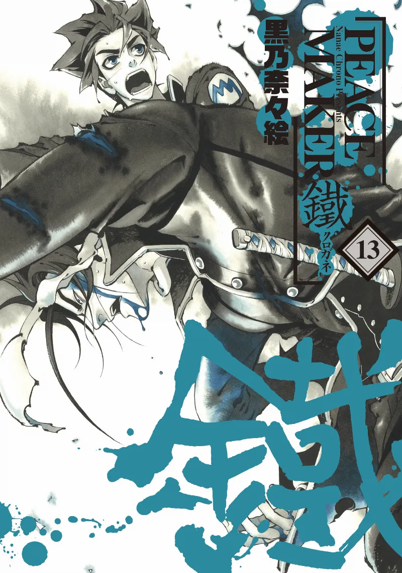 Volume 13