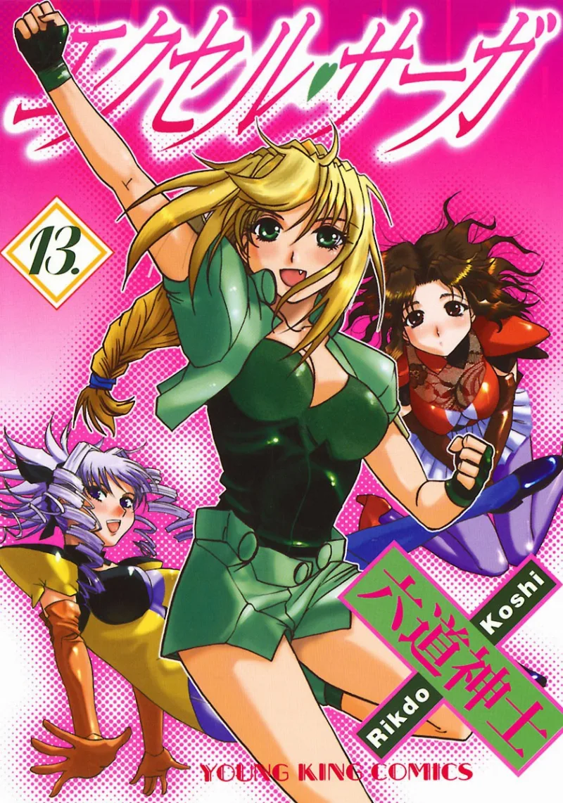 Volume 13