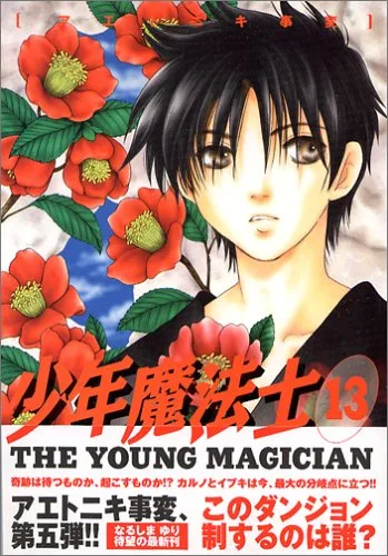 Volume 13