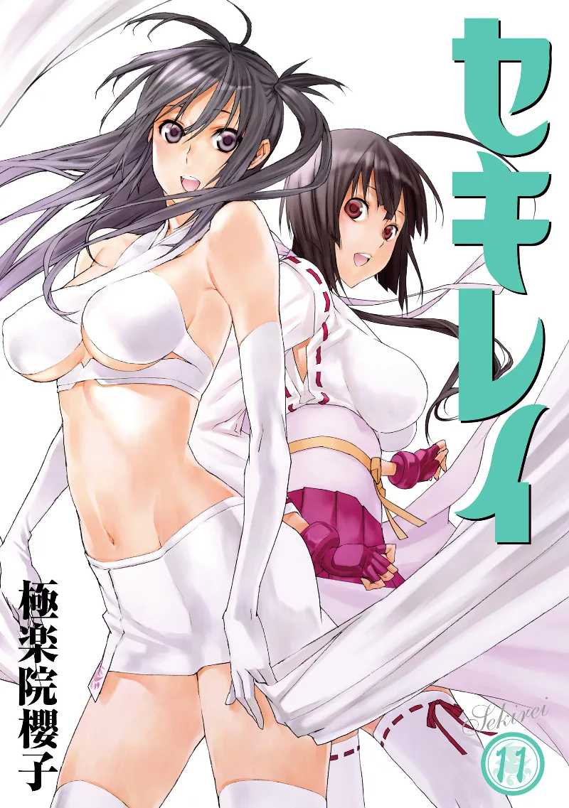 Volume 11