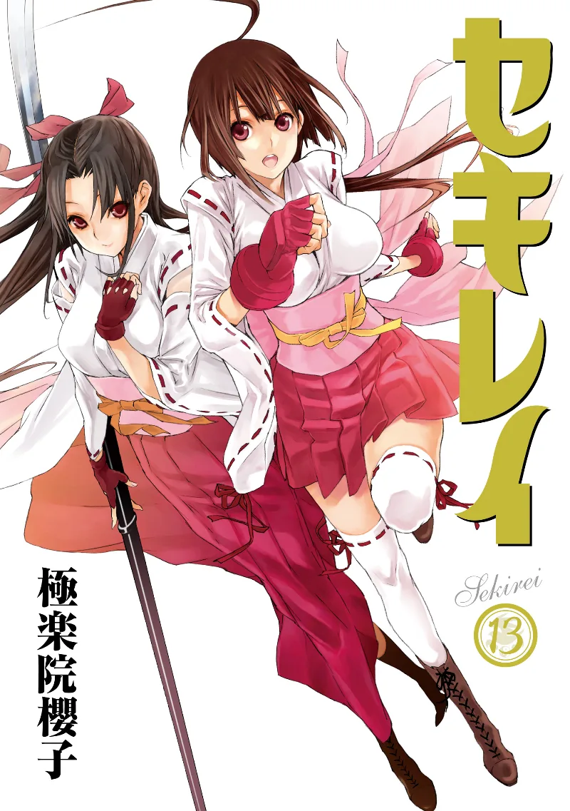 Volume 13