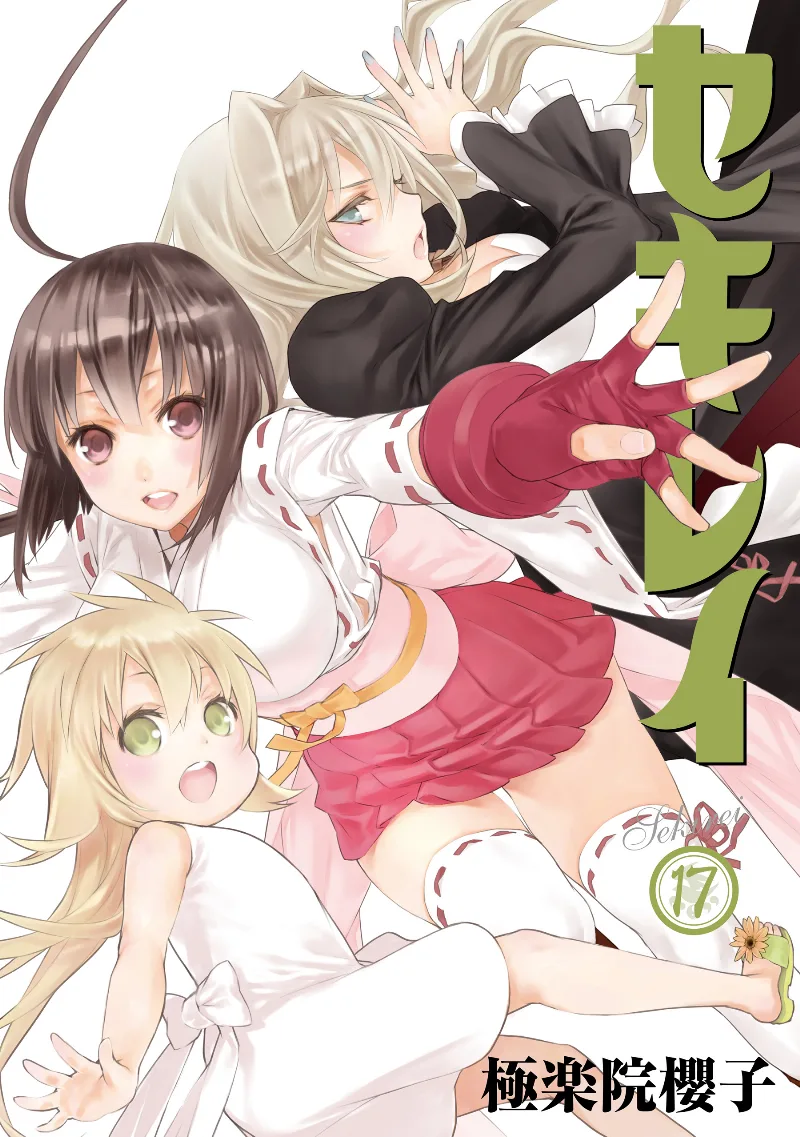 Volume 17