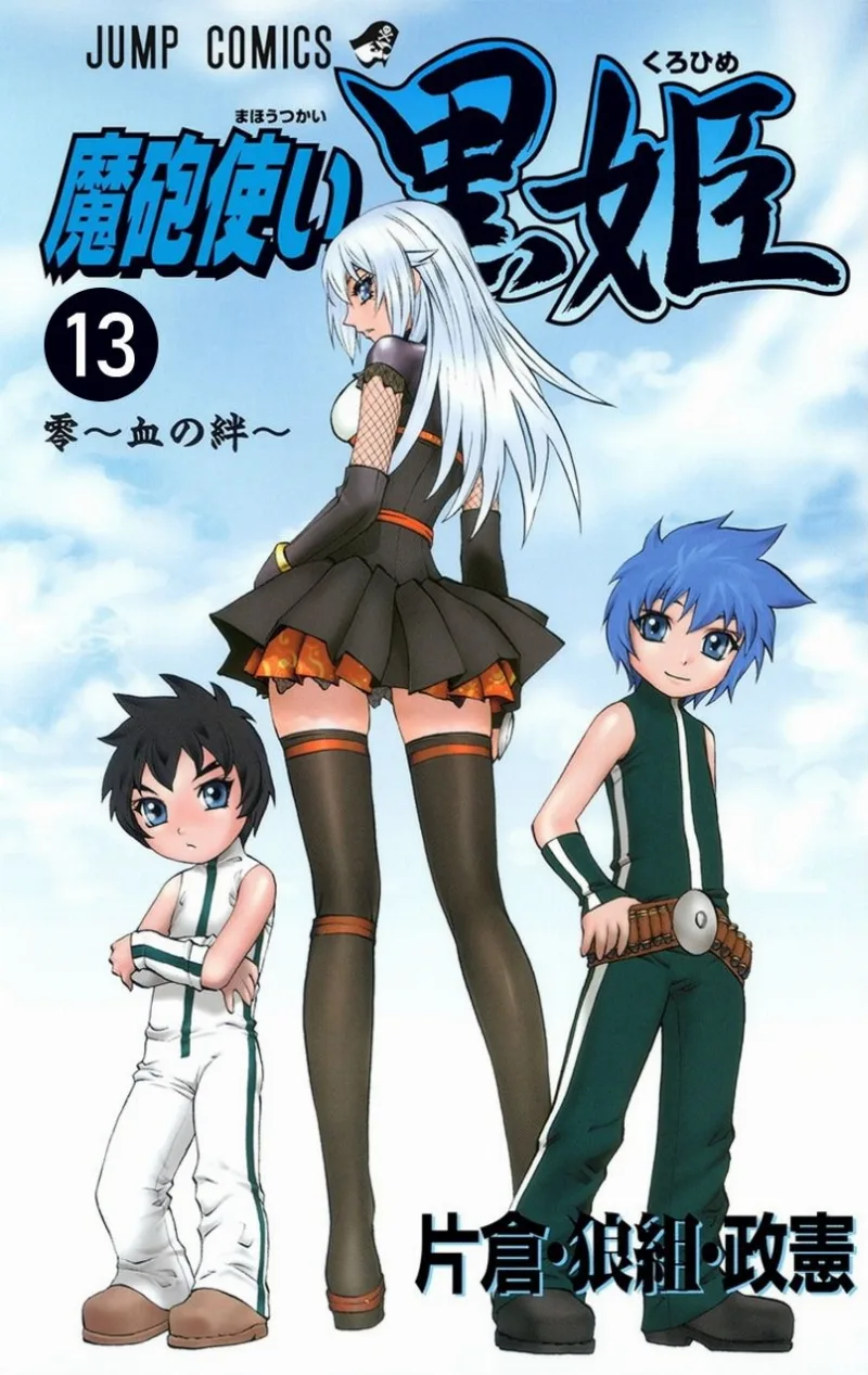 Volume 13