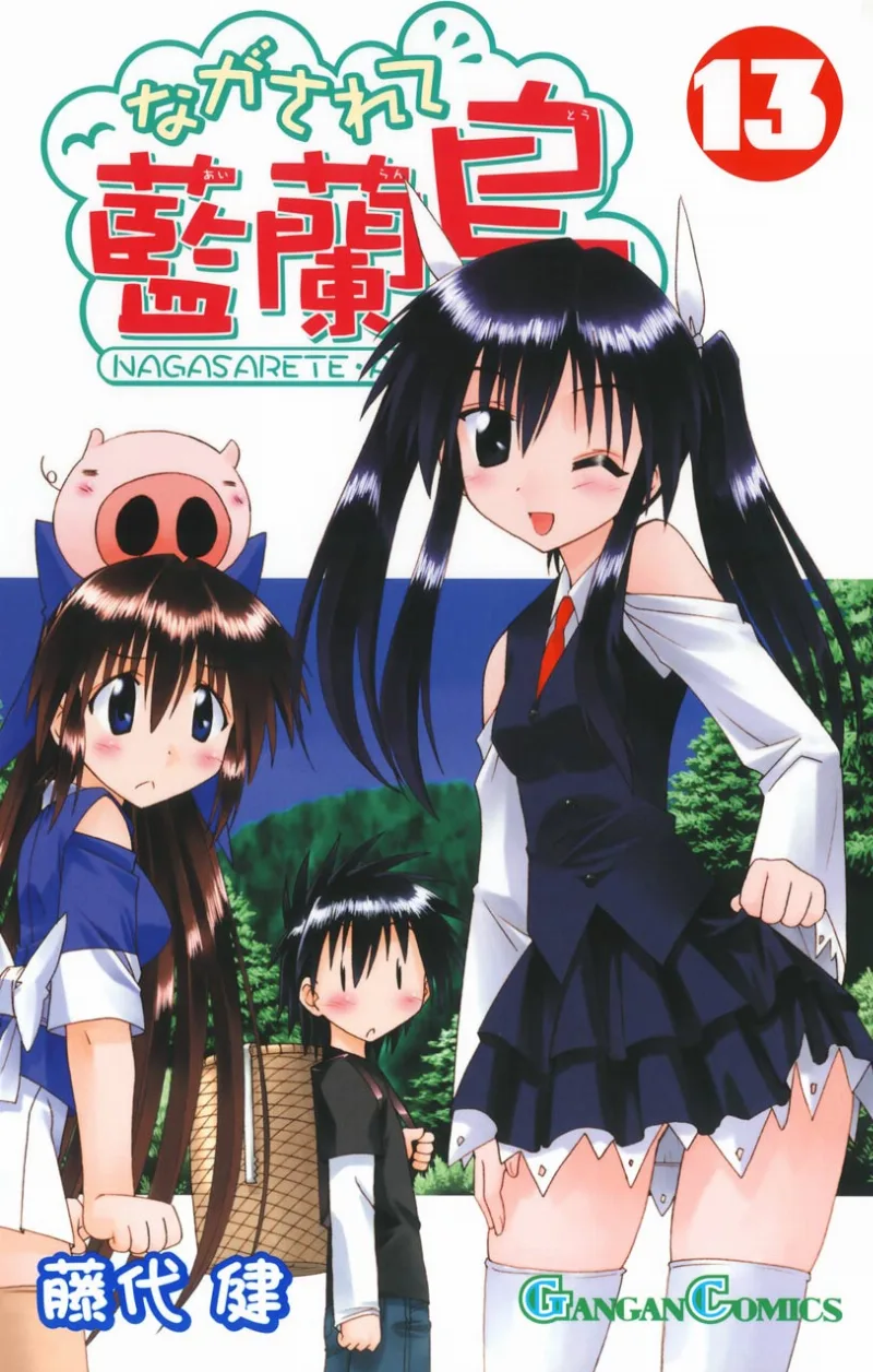Volume 13