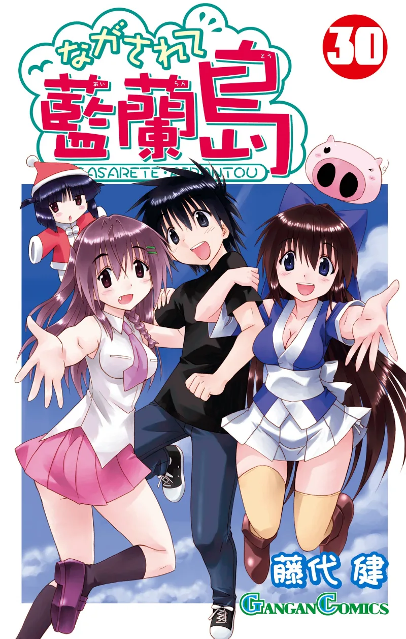 Volume 30