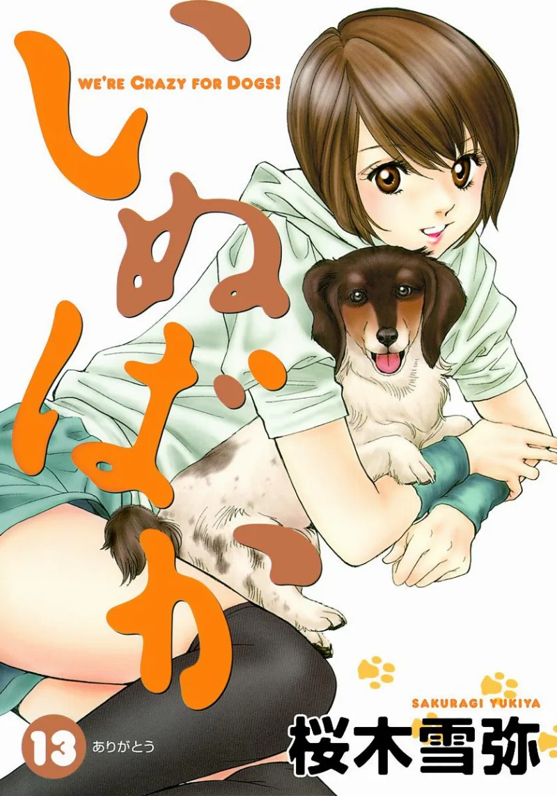 Volume 13