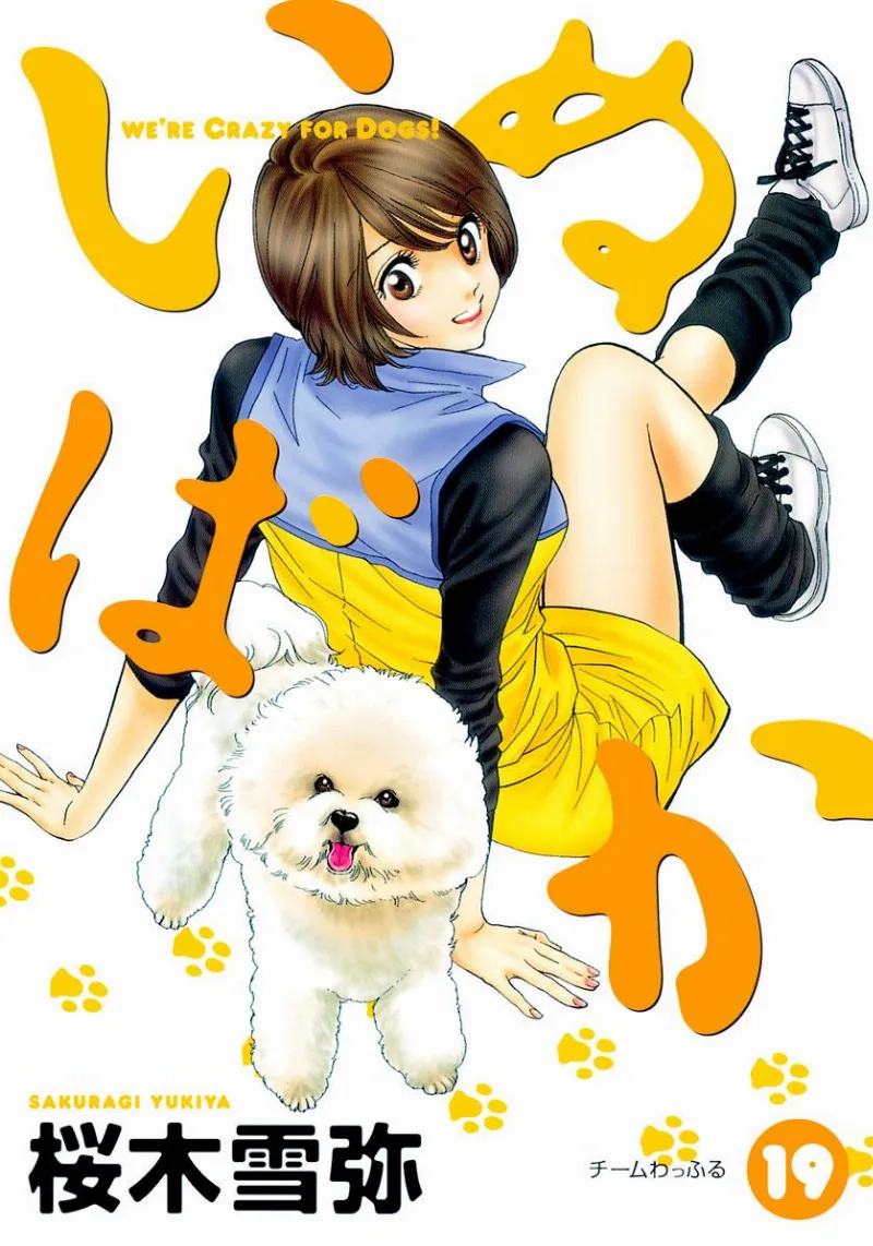 Volume 19