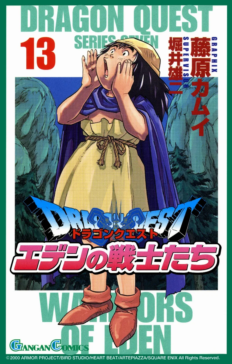Volume 13