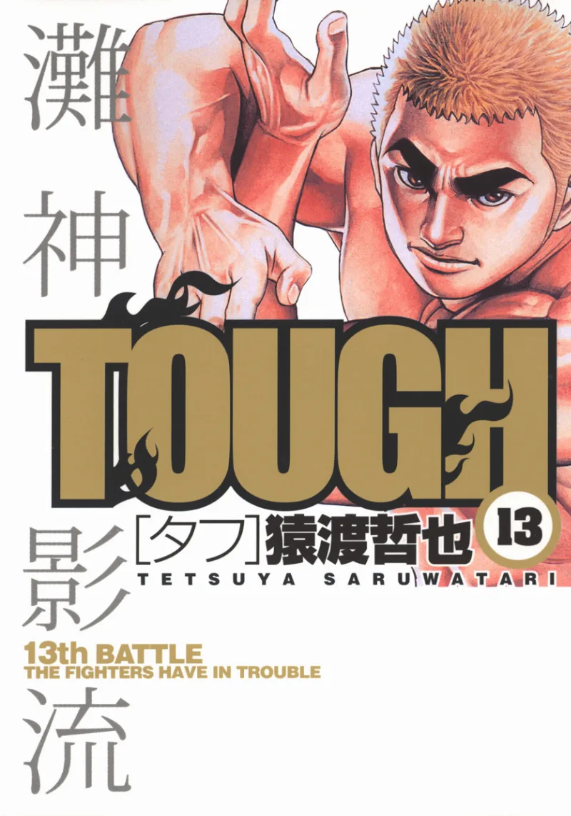 Volume 13