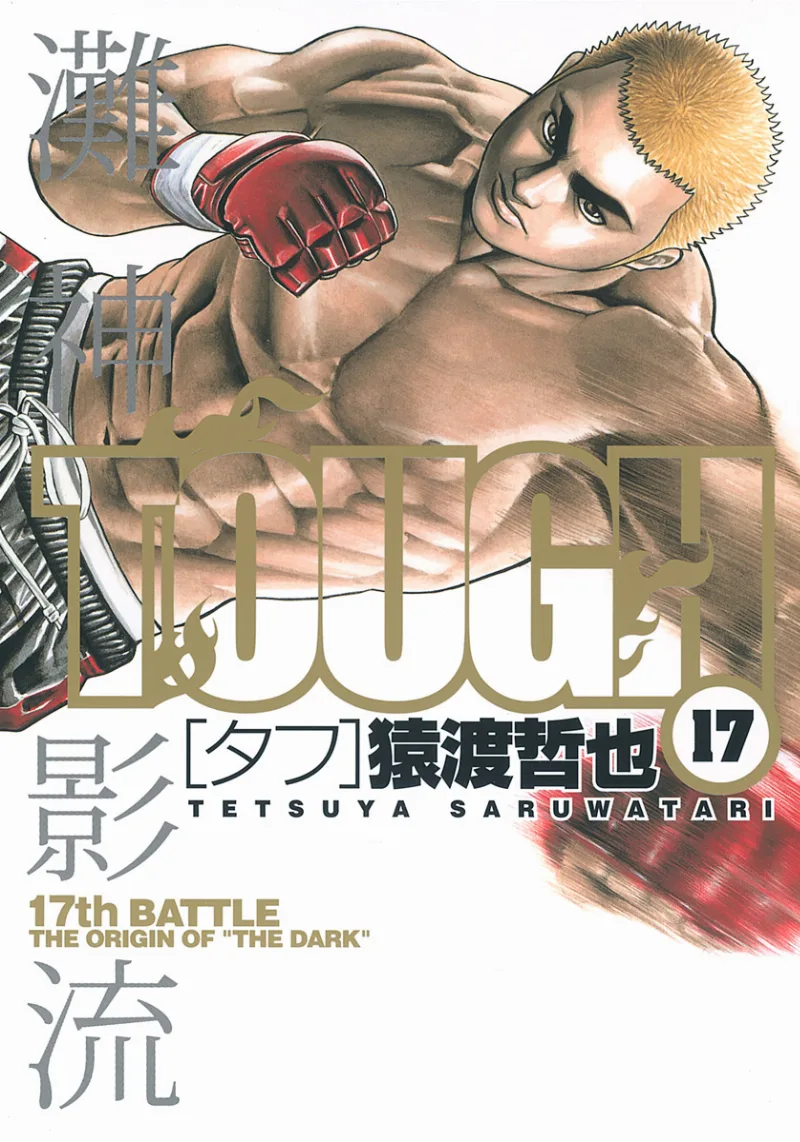 Volume 17