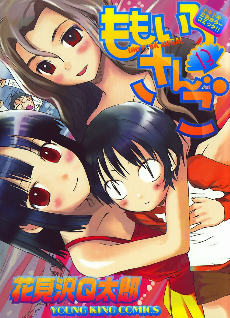 Volume 13