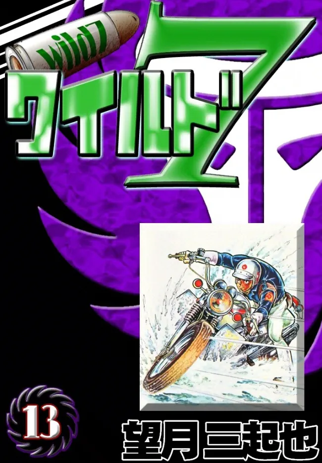 Volume 13