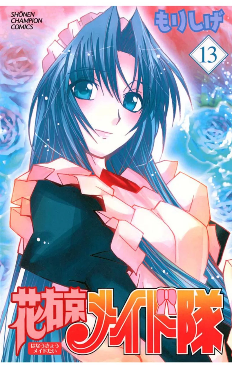 Volume 13