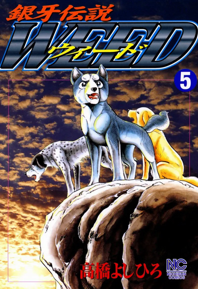 Volume 05