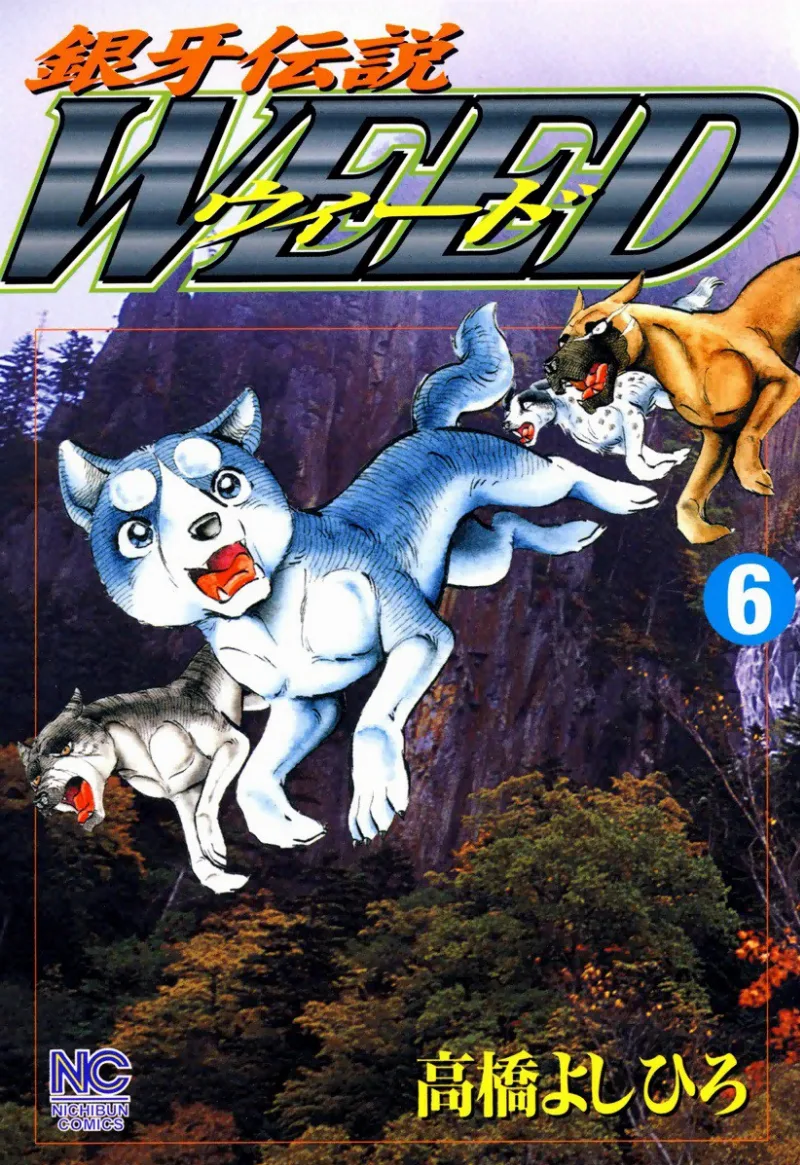 Volume 06