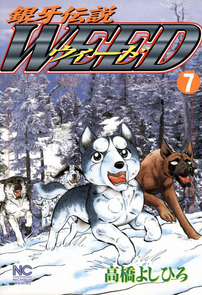 Volume 07