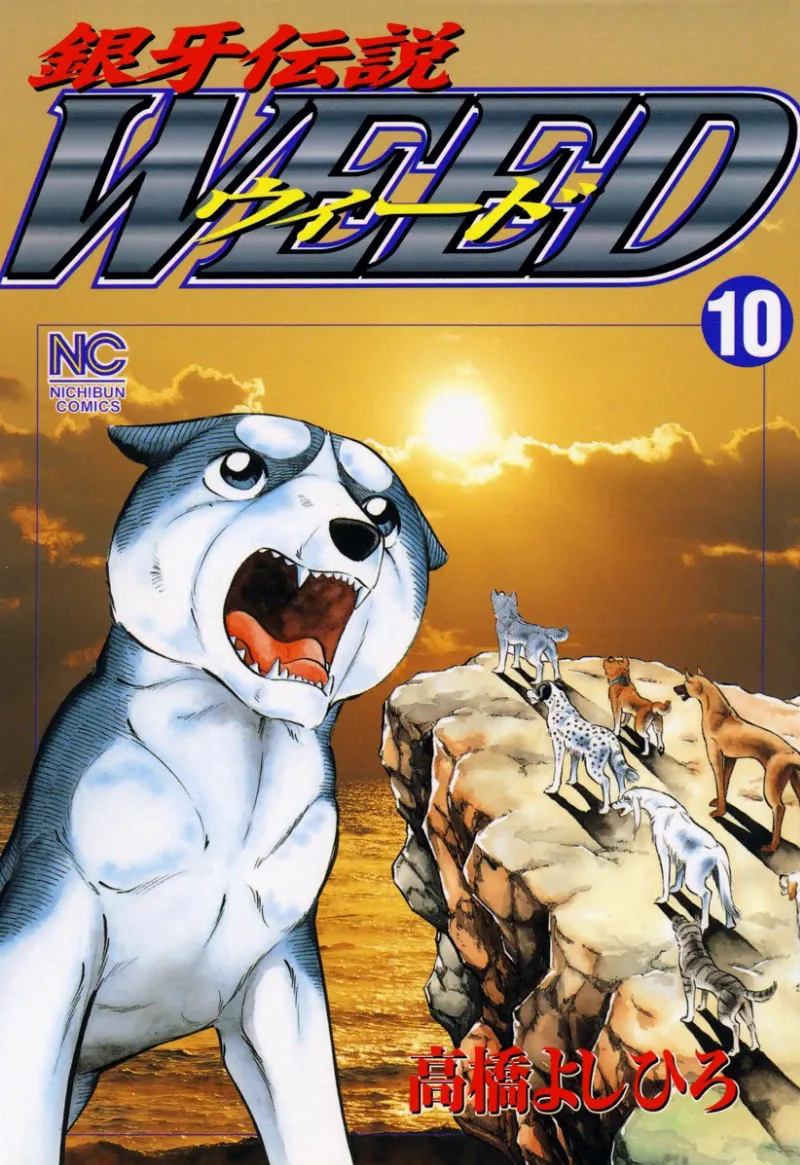 Volume 10