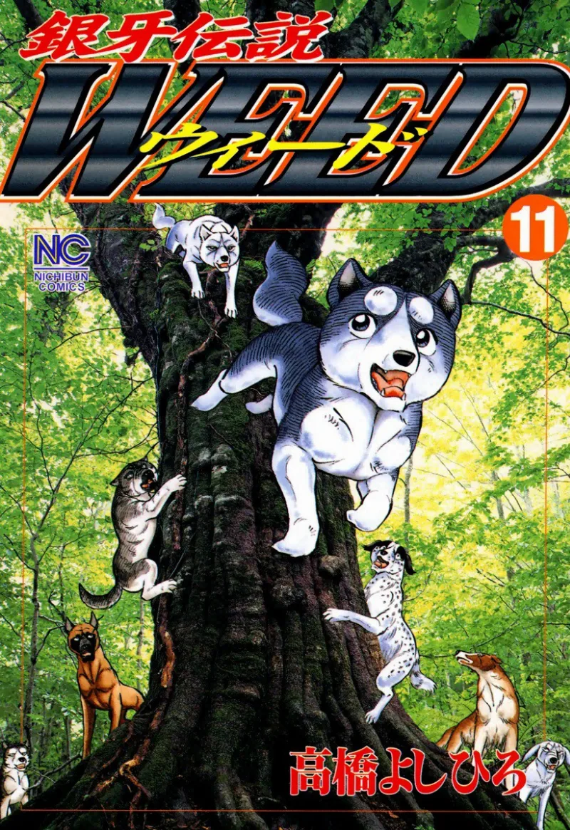 Volume 11